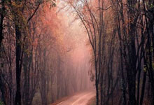 意大利与西班牙战平，积分榜略有波动