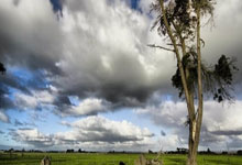 拉齐奥大胜，成功逆袭反超对手