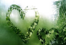 韩国男篮实现逆袭，成为黑马冲击冠军