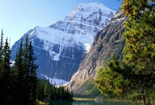 新疆队接连失利，队员表现低迷